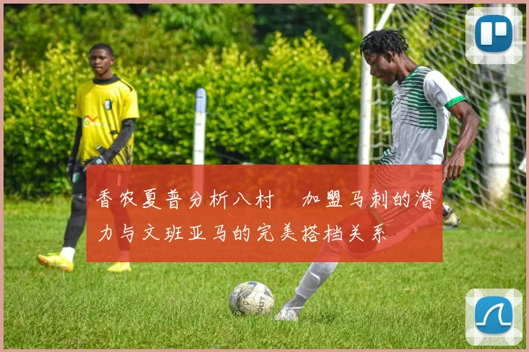 香农夏普分析八村塁加盟马刺的潜力与文班亚马的完美搭档关系