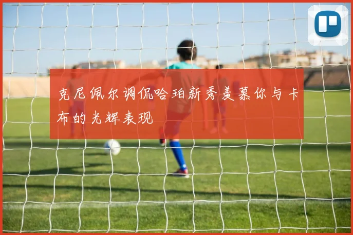 克尼佩尔调侃哈珀新秀羡慕你与卡布的光辉表现