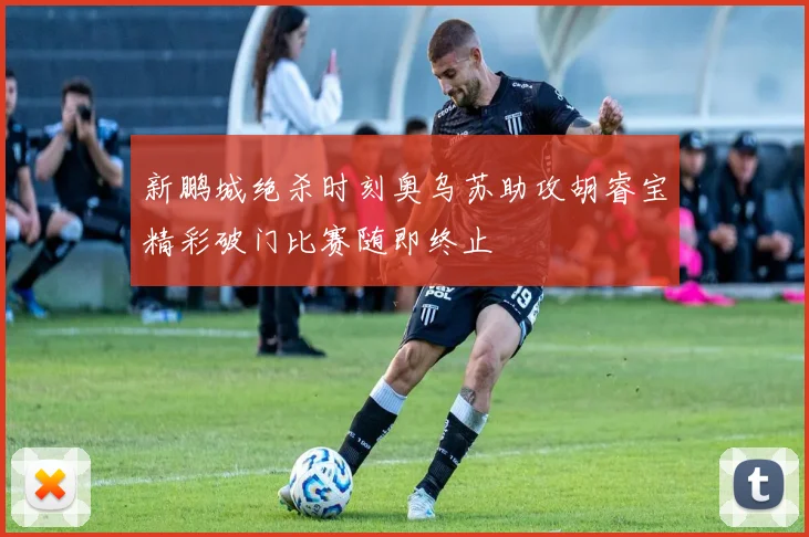 新鹏城绝杀时刻奥乌苏助攻胡睿宝精彩破门比赛随即终止